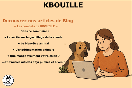 Sommaire des combats de Kbouille ✊🐾