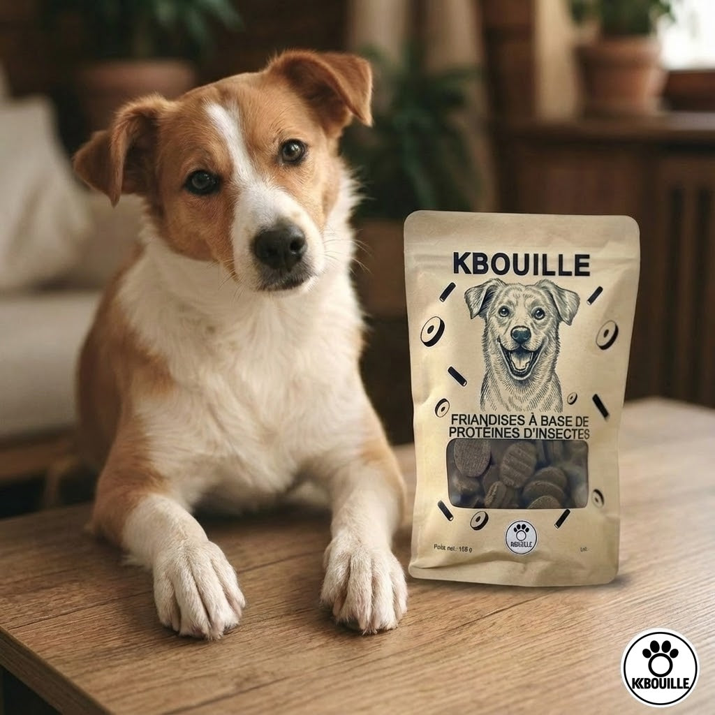 🐶🌱  LES FRIANDISES