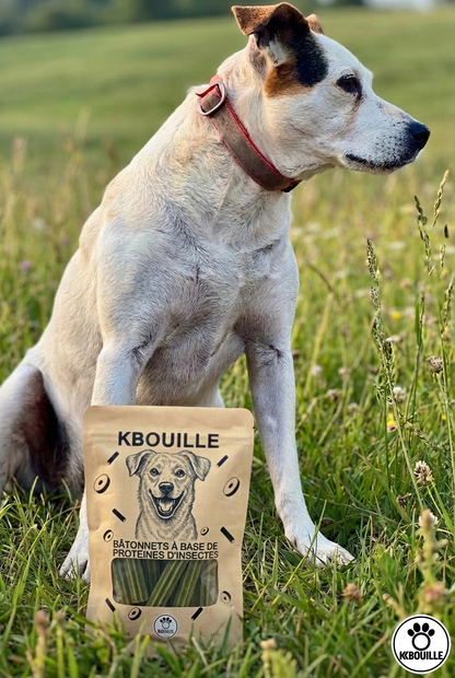 BÂTONNETS KBOUILLE – Simplement utiles