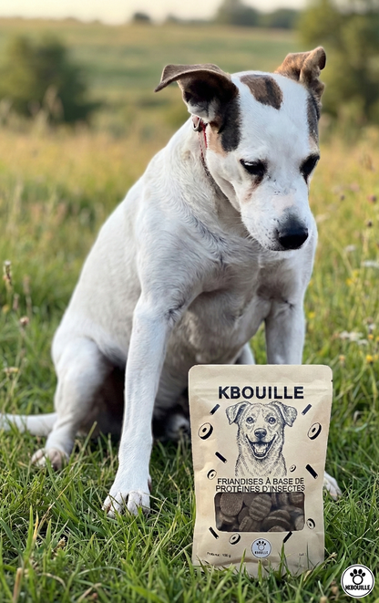 FRIANDISES KBOUILLE – Simplement utiles