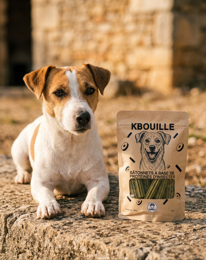 BÂTONNETS KBOUILLE – Simplement utiles